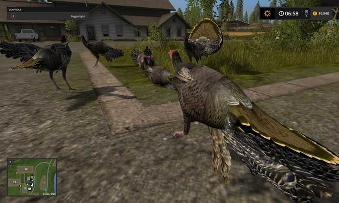 FS17 – Turkeys Object