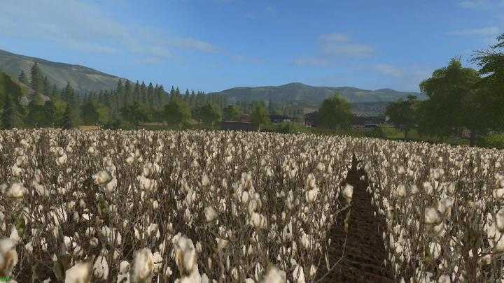 FS17 – Fbm17 Klingenbach With Cotton Map V1.1.4