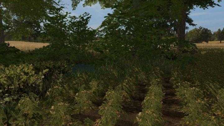 FS17 – Somsiedzka Wies Map V1