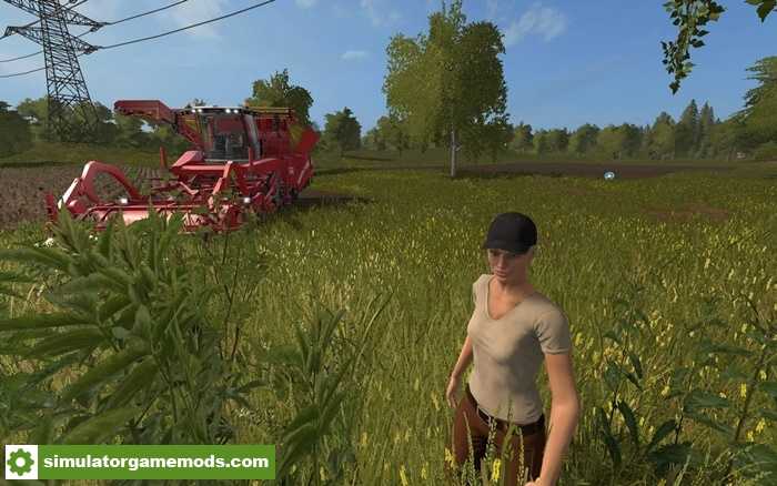 FS17 – Village Molokovo Map V1.7.9