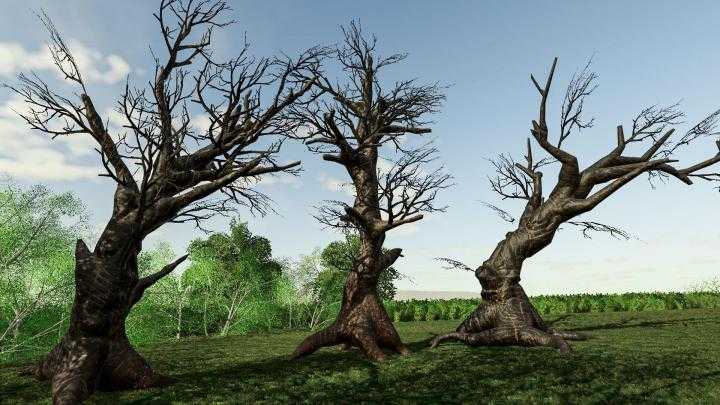 FS19 – Ancient Tree Pack V1