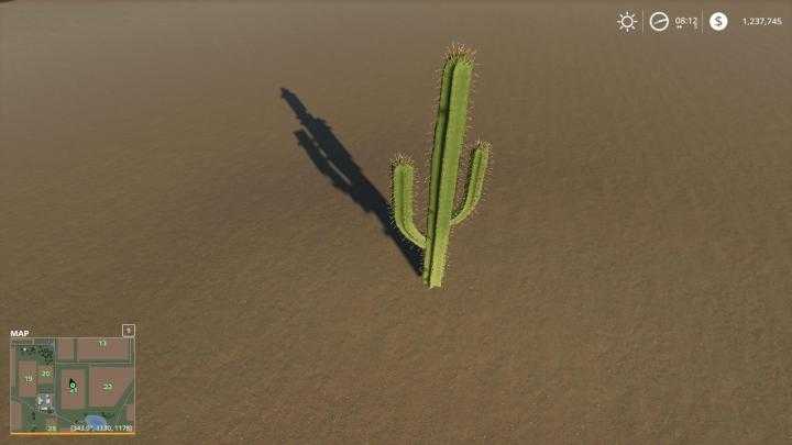 FS19 – Cactus V1