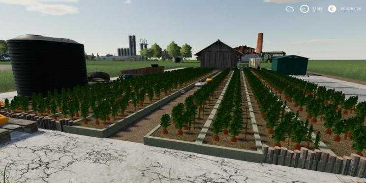 FS19 – Carrot Production V1