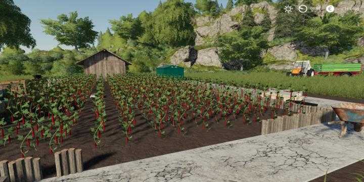 FS19 – Chili Pepper Garden V1