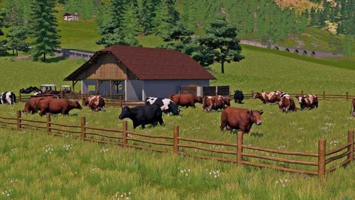 Cow Pasture V1.0 FS19