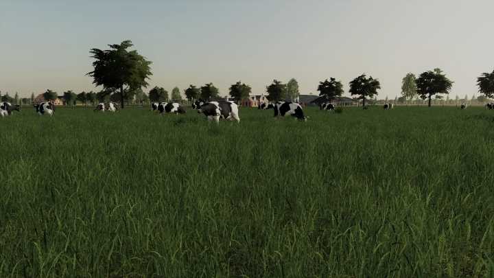 Cow Pasture V2.0 FS19