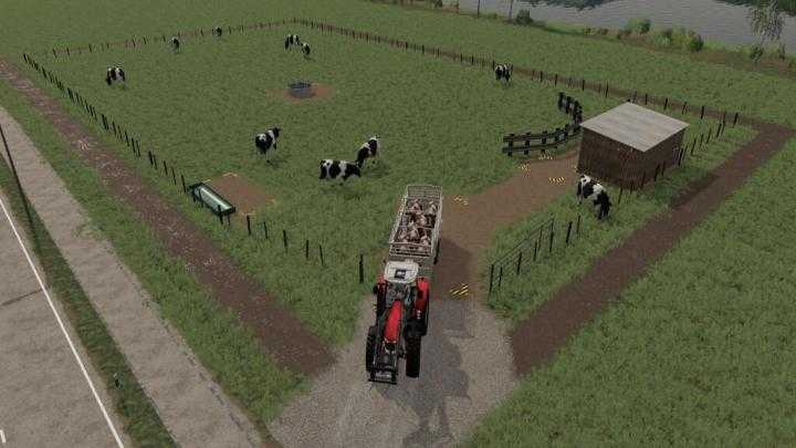 FS19 – Dairy Cow Pasture V1