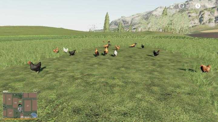 FS19 – Free Range Chickens V1