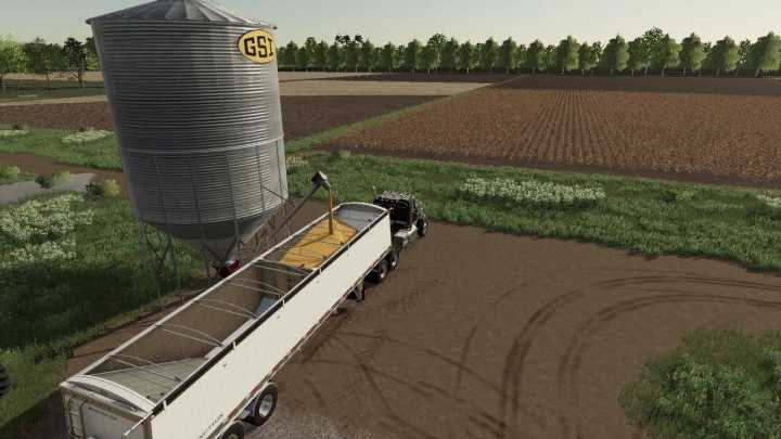 Gsi Grain Storage Silo (Gtx Script Version) V1.0 FS19