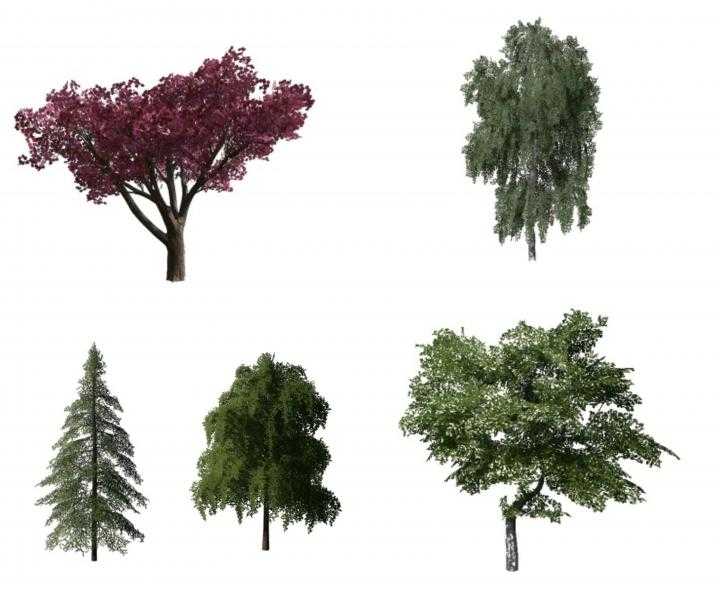 FS19 – More Trees V1