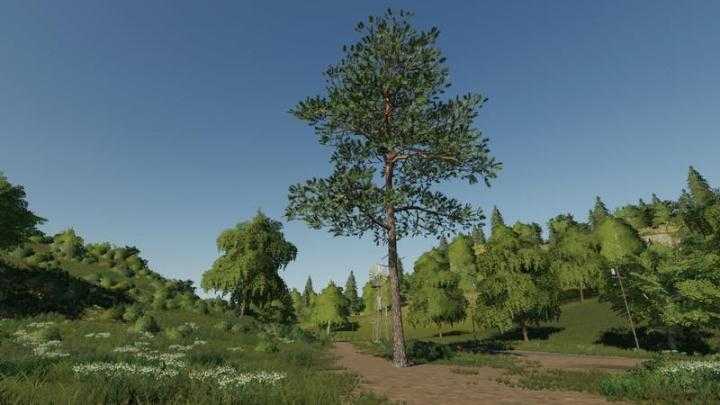 FS19 – Pine Can Be Placed V1