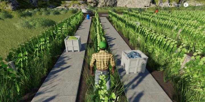 FS19 – Placeable Grape Production Final