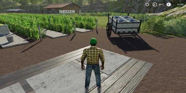 FS19 – Placeable Grape Production Final