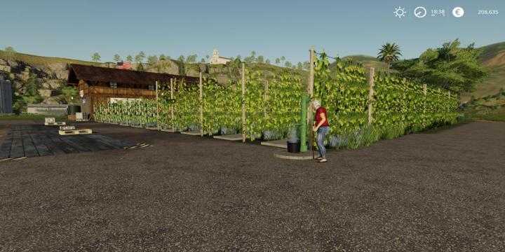 FS19 – Placeable Grape Production Final Extended