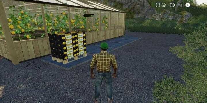 FS19 – Placeable Lemon Production V1