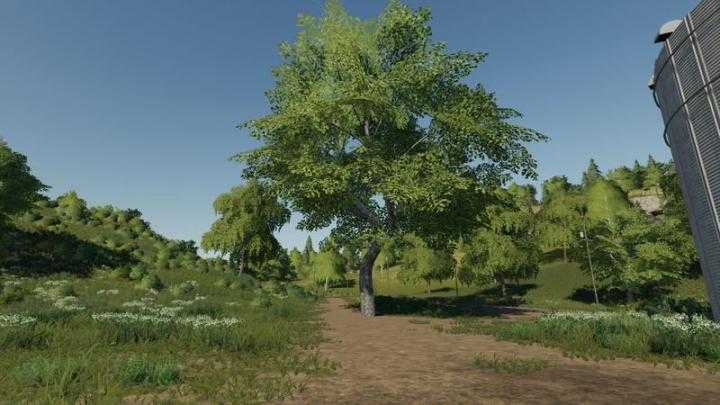 FS19 – Placeable Maple V1