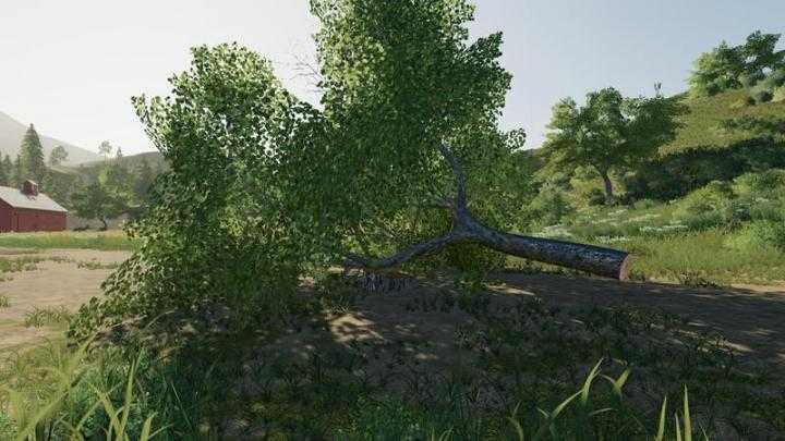 FS19 – Placeable Maple V1