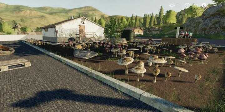 FS19 – Placeable Mushroom Production V1