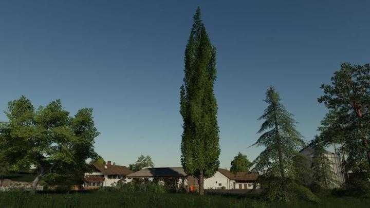 FS19 – Placeable Poplar V1