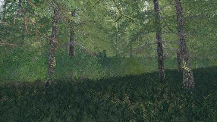 FS19 – Placeable Skidtrail Trees V1