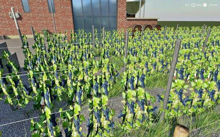 FS19 – Placeable Winery V1