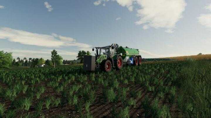 1200Kg Weight V1.0 FS19