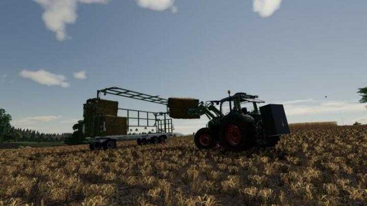 1200Kg Weight V1.0 FS19