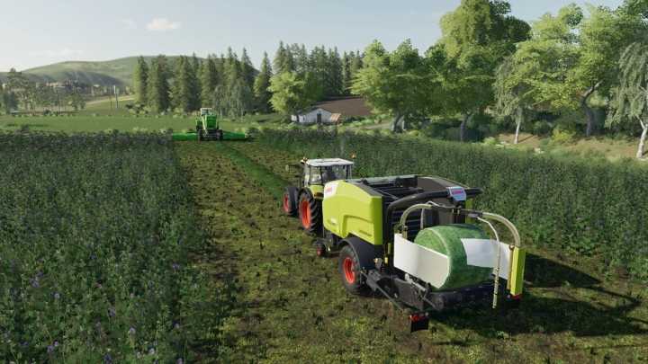 Bale Wrapper Extension V1.0 FS19