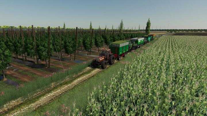 FS19 – Big Rice Map V1