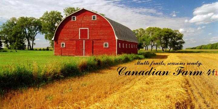 FS19 – Canadian Farm Map F1