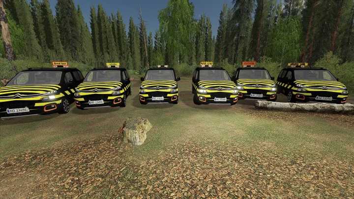 Citroen Berlingo Pilot Car V1.2 FS19