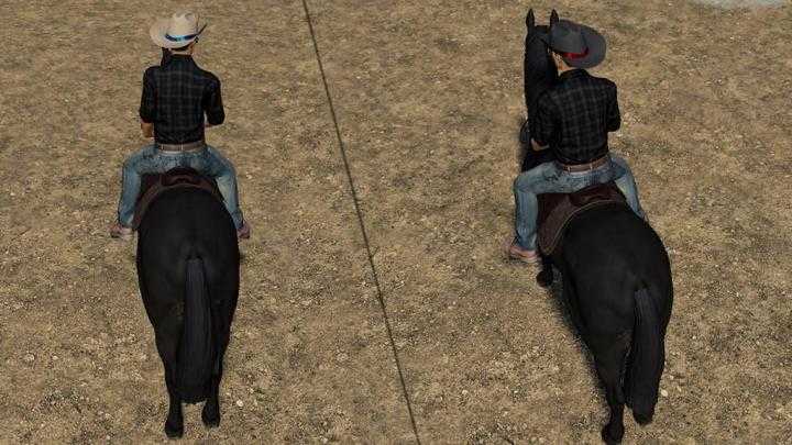 FS19 – Cowboy Hat V1.0.2.0