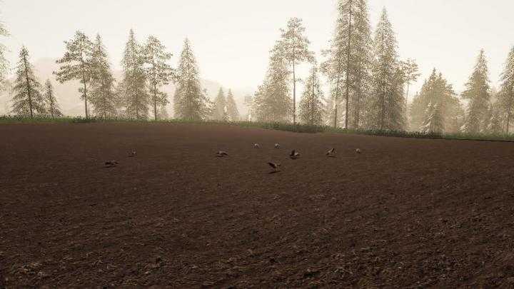 FS19 – Crows Sound Fix V1