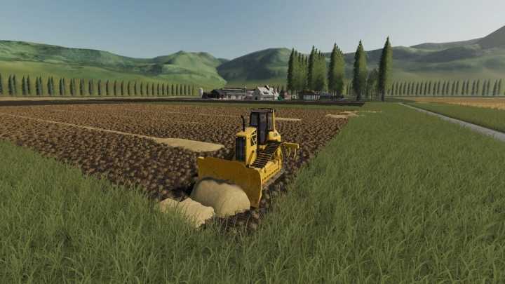 D6N Lgp V1.0 FS19