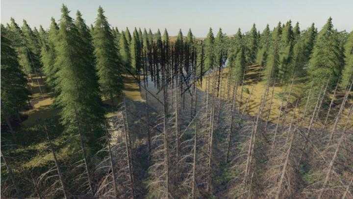 FS19 – Daylight In The Swamp V1