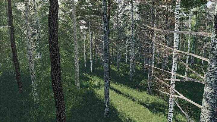 FS19 – Deep Logging Map V1