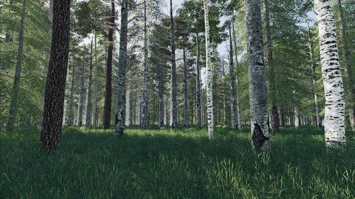 FS19 – Deep Logging Map V1