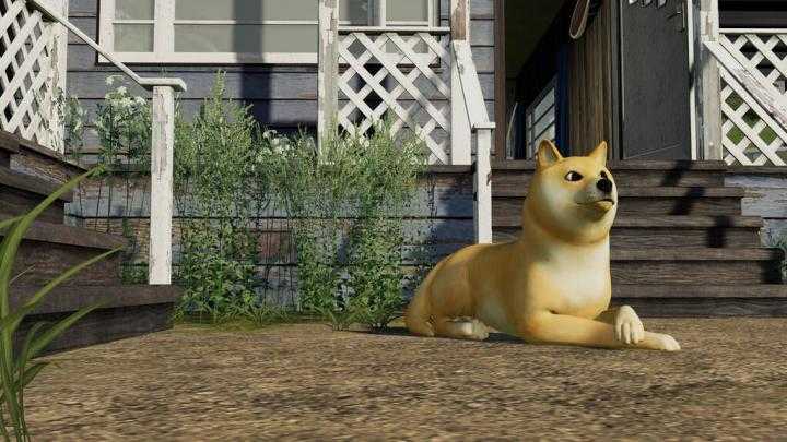 Doge Coin Dog V1.0 FS19