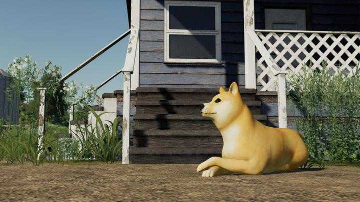 Doge Coin Dog V1.0 FS19