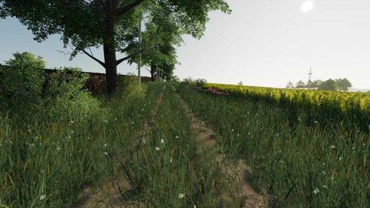 FS19 – Dolina Kwiatow Map V1.1.1