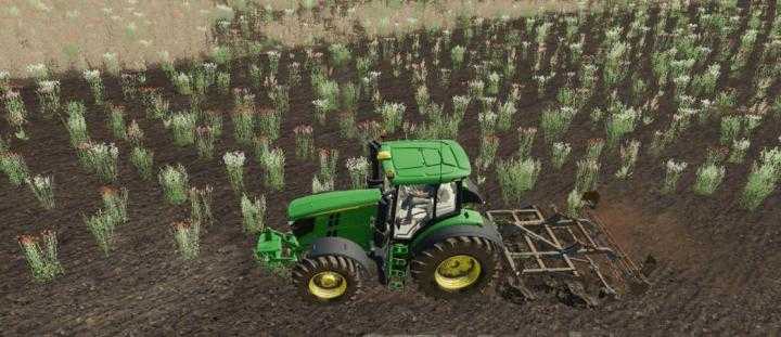 FS19 – Einboeck Tornado V1