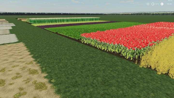 FS19 – Empty Map V1