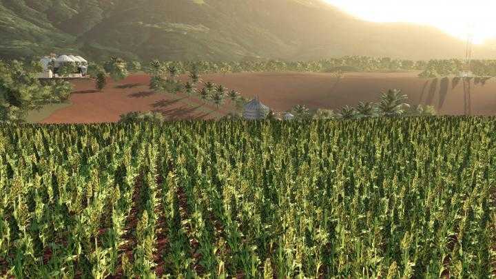 FS19 – Farm Campo Verde Map V1