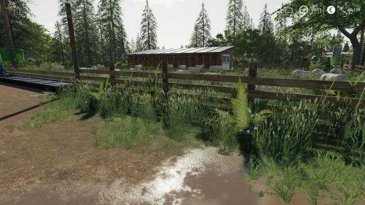 FS19 – Fenton Forest 4X Update 9