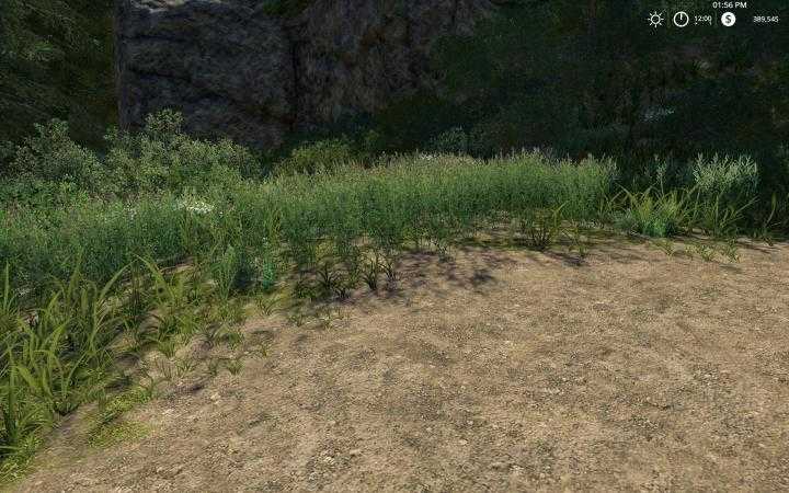 FS19 – Foilage & Tree Shadows V1