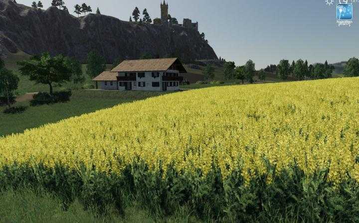 FS19 – Forgotten Plants – Sunflower/canola V1