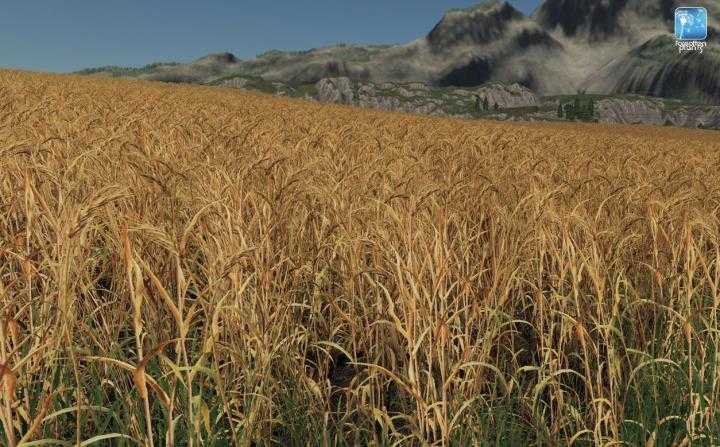 FS19 – Forgotten Plants – Wheat / Barley V1.1