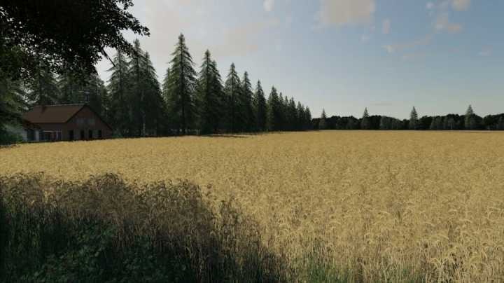 Hollandscheveld Maizeplus Version V1.0 FS19