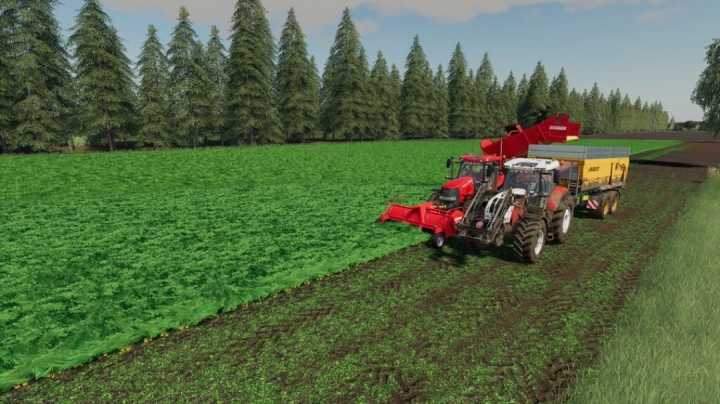 Hollandscheveld Maizeplus Version V1.0 FS19