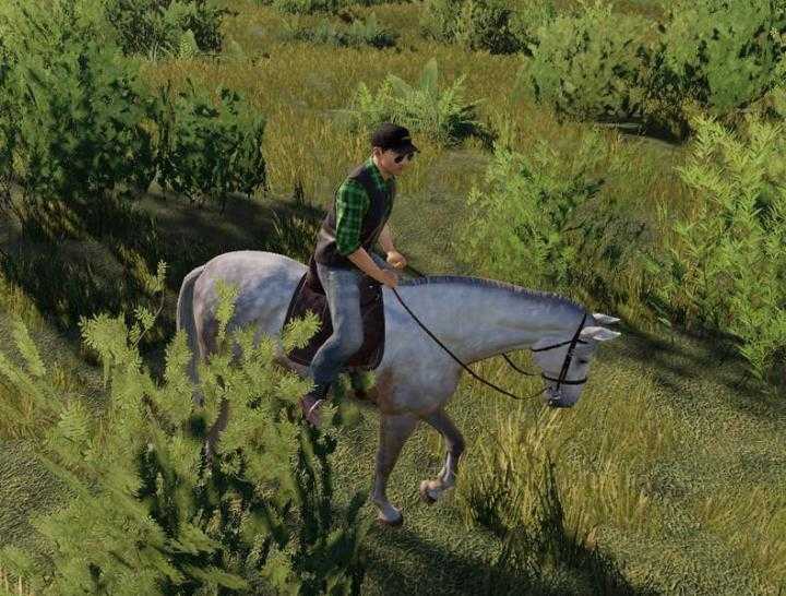 FS19 – Horse V1